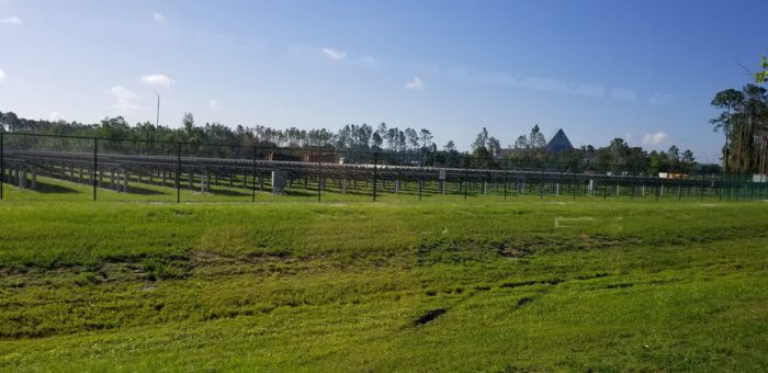 Work Underway on New Solar Farm Near Animal Kingdom at Walt Disney World