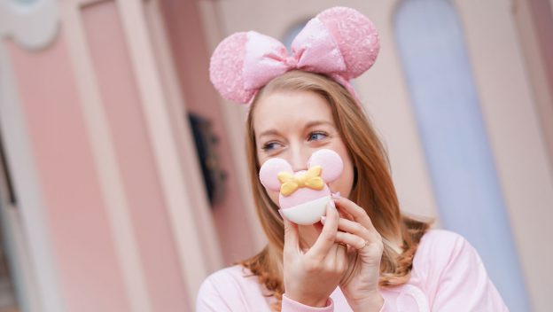 Millennial Pink Macaron at Disneyland