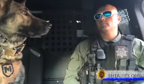 Police Officer and His K-9 Partner