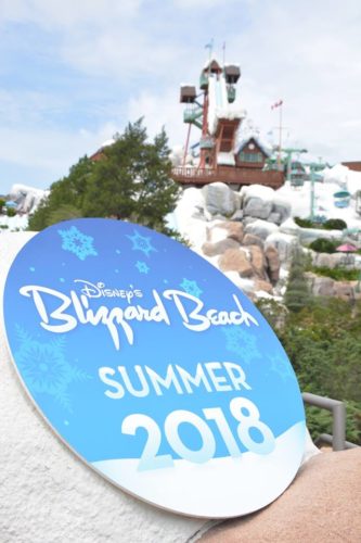 New PhotoPass Props At Disney Water Parks Just In Time For Summer