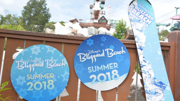 New PhotoPass Props At Disney Water Parks Just In Time For Summer