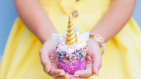 Disneyland Iridescent Cupcake