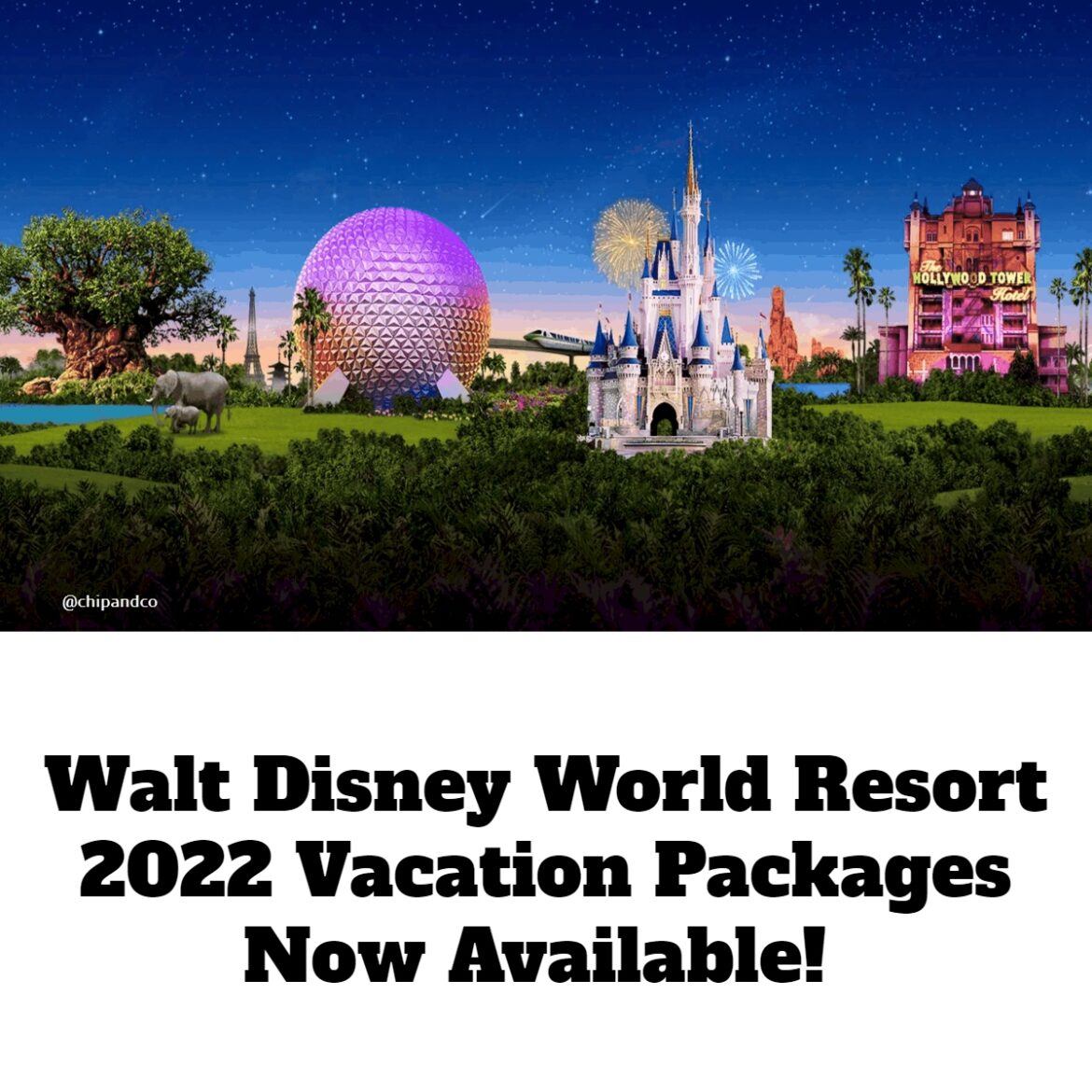 Walt Disney World Resort Vacation Packages Now Available Chip