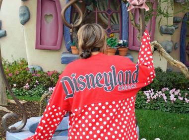 Disneyland Spirit Jersey