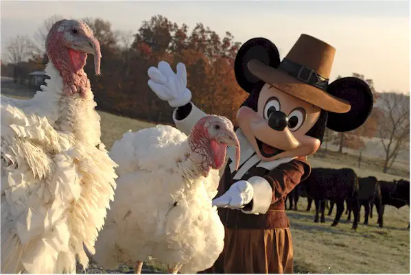 Disney Pic of the day – Turkey Time