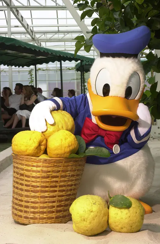 Woman says Donald Duck groped her, files suit against Disney