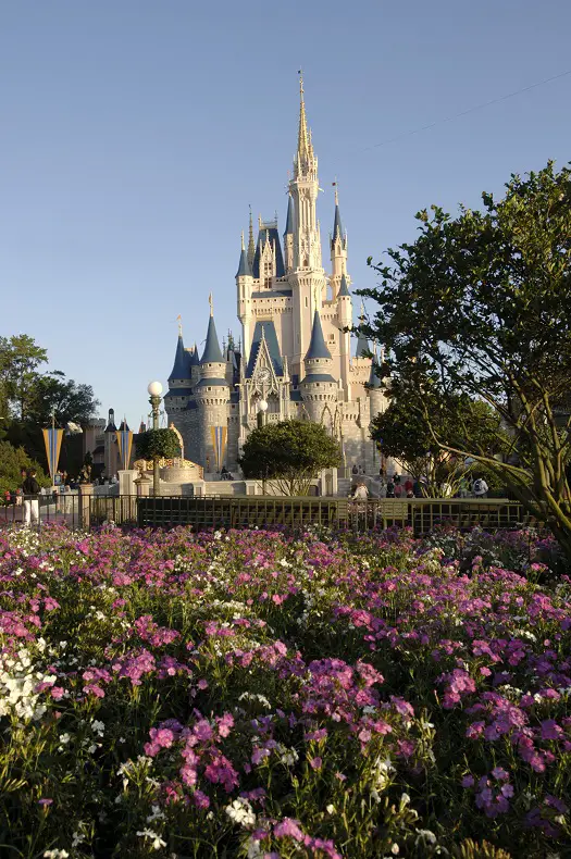 Disney World Quick Tip – Travel off season for a more magical visit