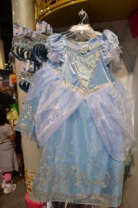 Disney Halloween Costume Cinderella