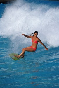 TL Surfer2
