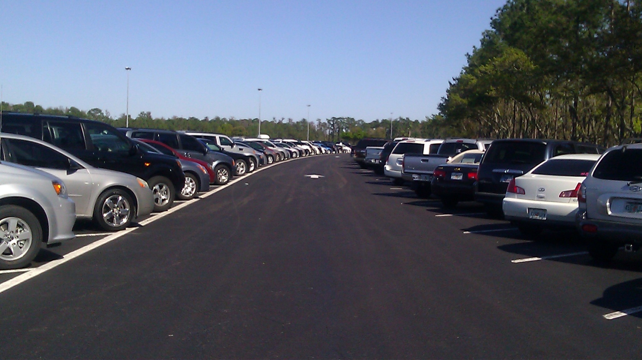 Walt Disney World Parking Rates Have Increased