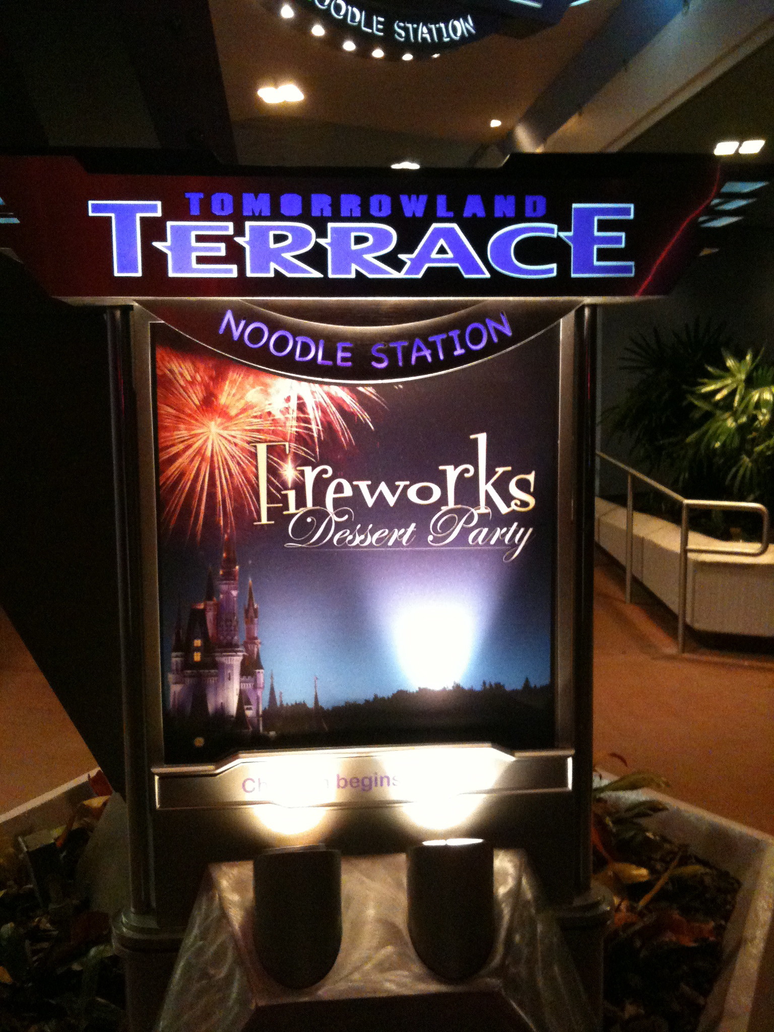 Tomorrowland Terrace Dessert Party the Best Way to Watch Wishes
