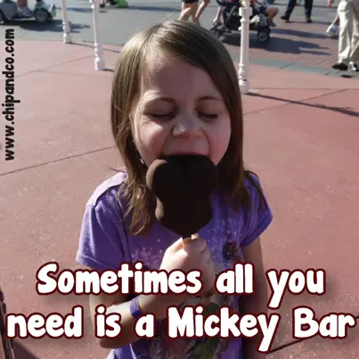 Top 10 Things Disney World Rookies Must Do’s