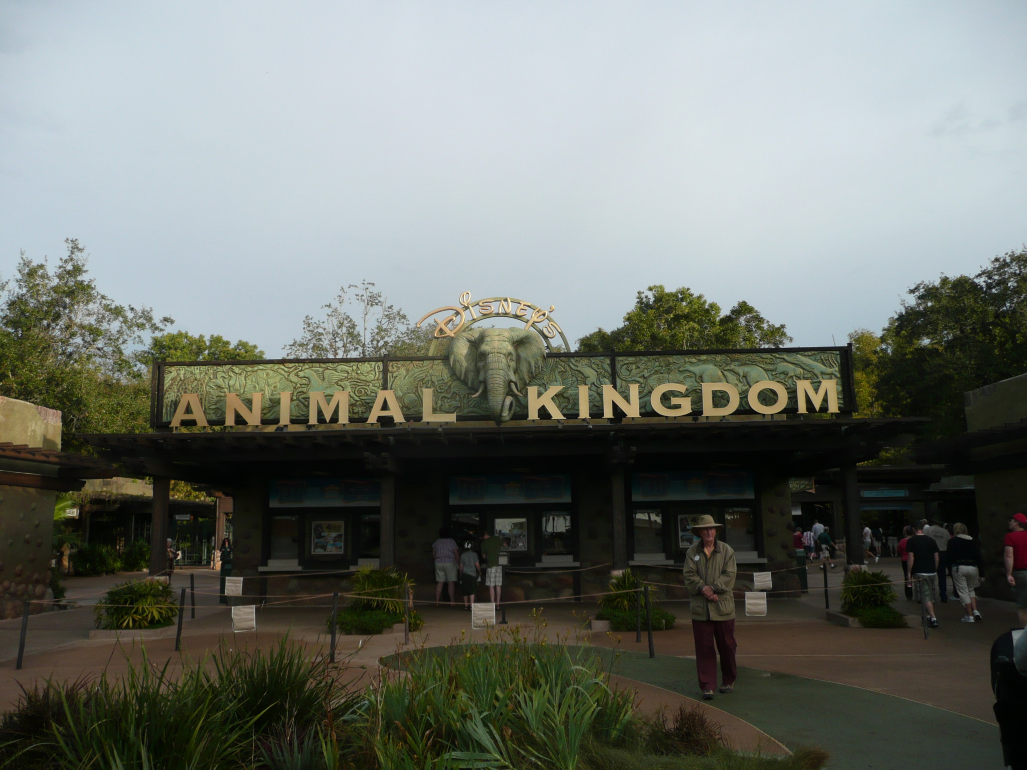 Food Allergy Information Kiosk to Open at Disney’s Animal Kingdom