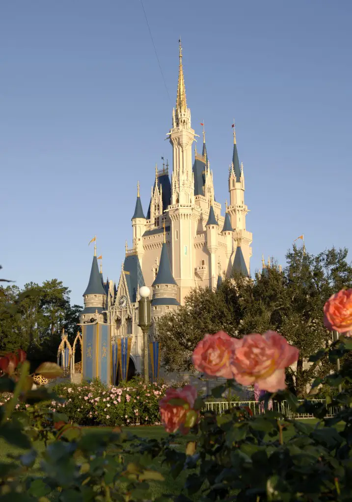 Relax, Meditate, and Smell the Roses at Walt Disney World