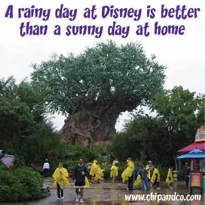 Disney Quick Tips – Check the Weather Before You Leave Home