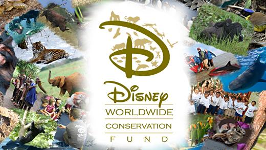 Disney Worldwide Conservation Fund Donates $24,000 to Support Coral Reef Research