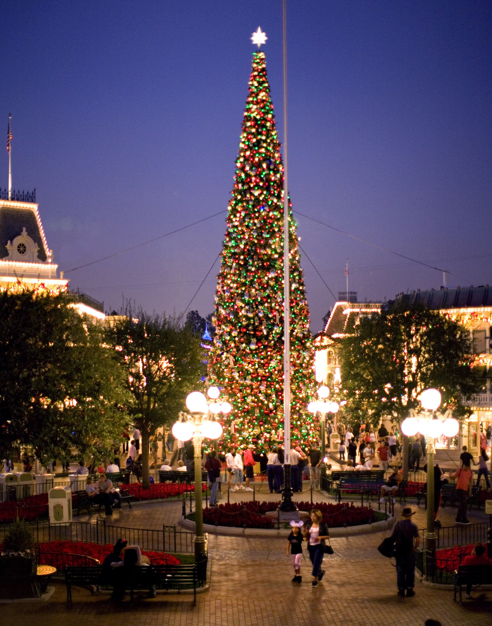 Top 10 Walt Disney World Christmas Trees