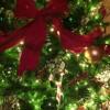 Christmas at Fantasyland 5