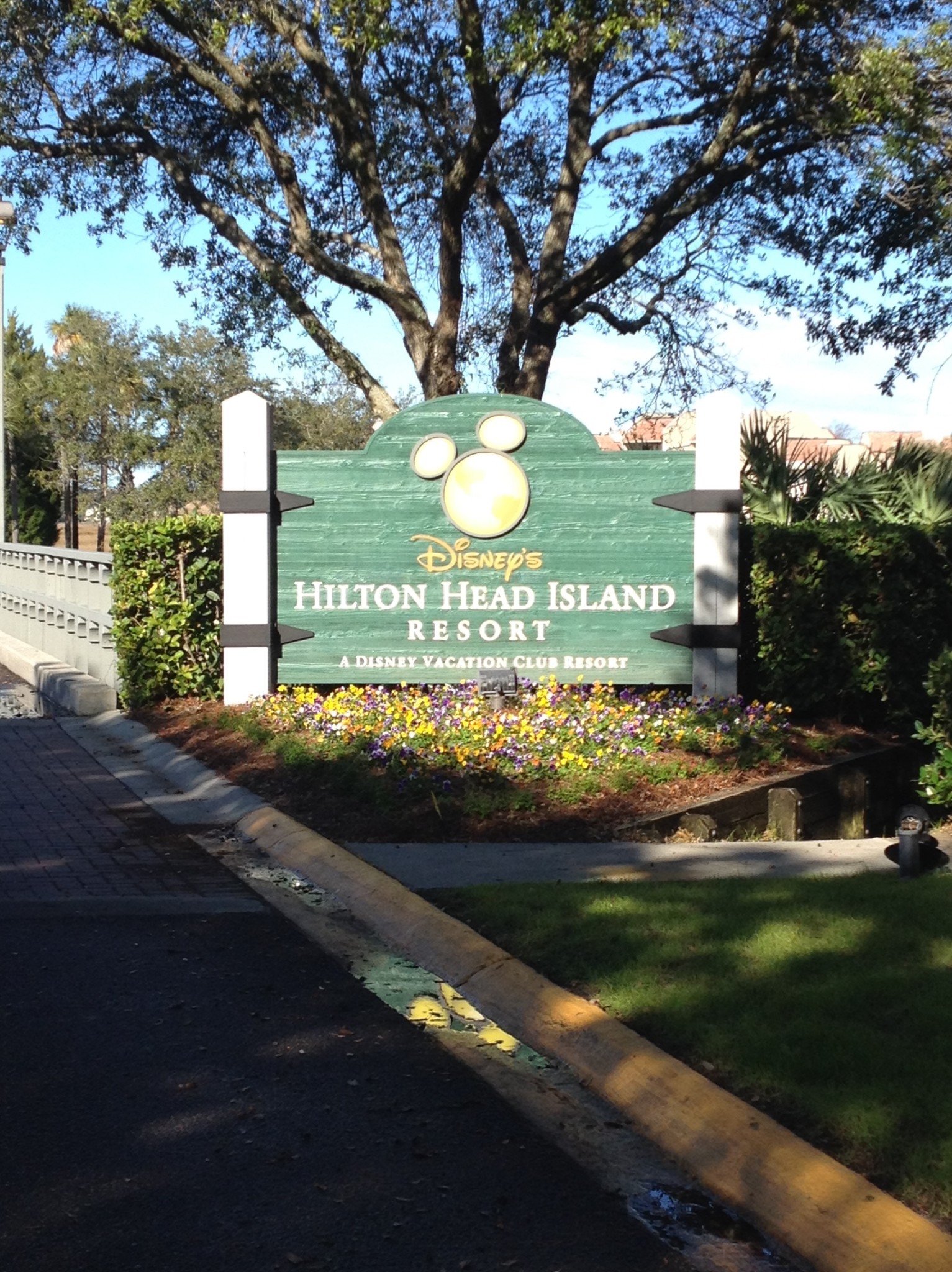 Take a trip to Disney’s Hilton Head Island Resort