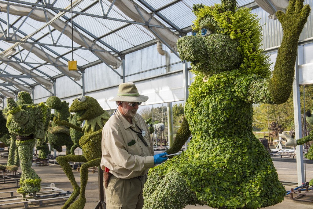 Behind the Scenes of the Epcot Flower & Garden Festival