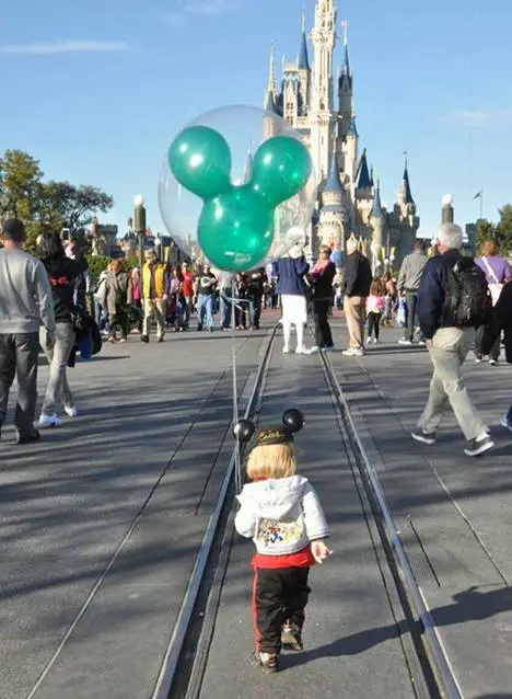 My Disney Experience planning for a Toddler’s Walt Disney World Trip.