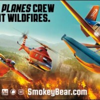 Planes Wildfires