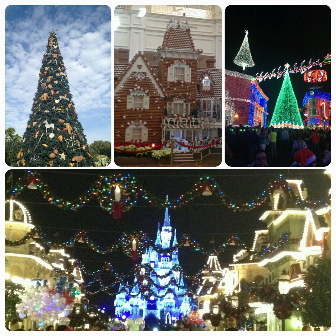 Disney World at Christmas – The Low Down