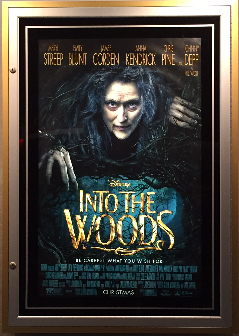 A Glimpse INTO THE WOODS…