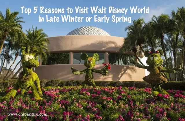 Top 5 Reason to Visit Walt Disney World During the Late Winter and Early Spring Months
