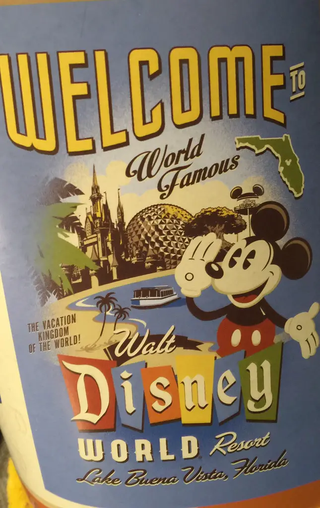 Disney Finds – Disney Parks Throw Blankets
