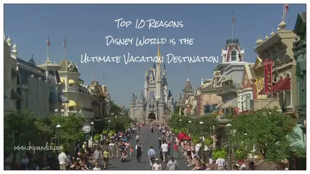 Top 10 Reasons Disney World is the Ultimate Vacation Destination