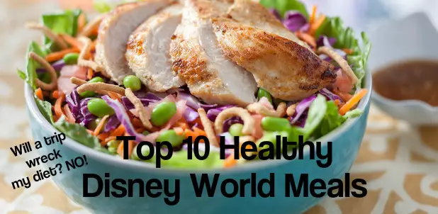 Top 10 Healthy Meals in Disney World