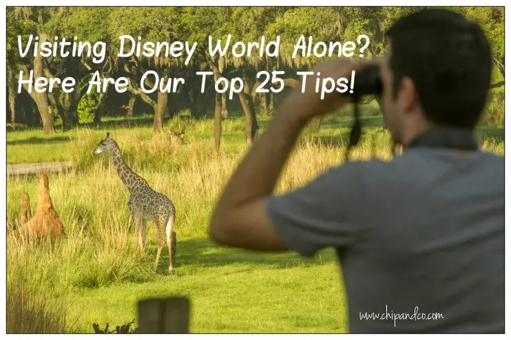 25 Ways to Do Walt Disney World Resort Alone and Have the Time of Your Life