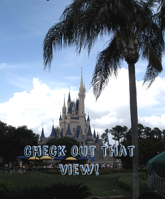 Top 10 Views While Dining in Disney World
