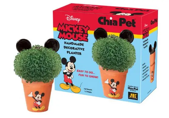 Disney Finds – Mickey Mouse Chia Pet