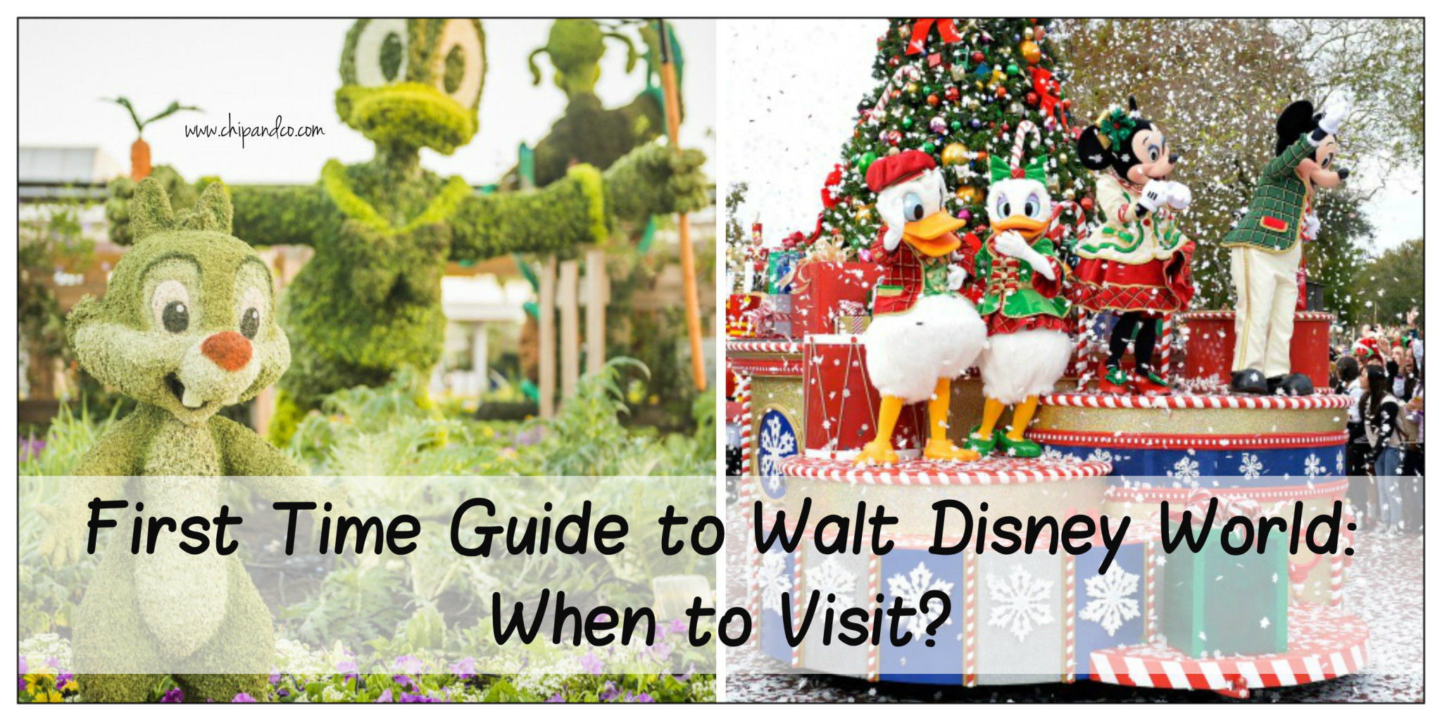 A First-Timer’s Guide to Walt Disney World: When to Visit?