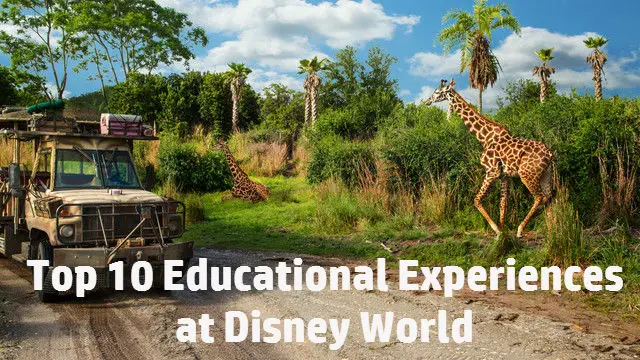 Top 10: Educational Experiences at Disney World