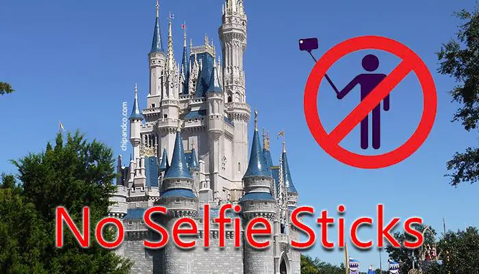 Disneyland Paris Banning Selfie Sticks