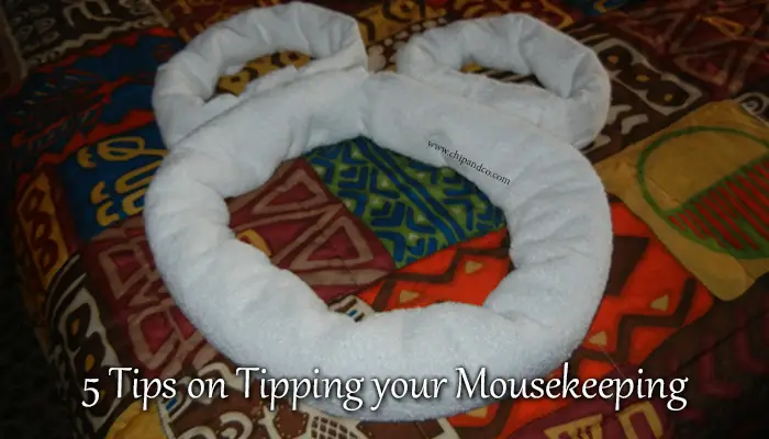 5 Tips on Tipping your Mousekeeping