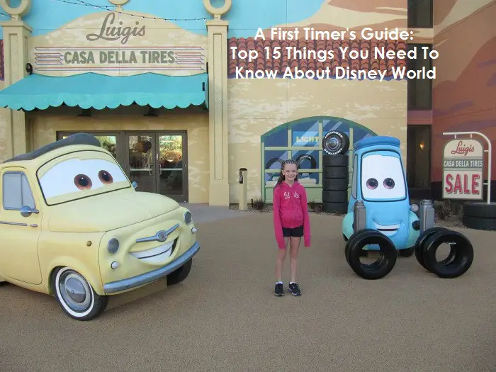 A First Timer’s Guide:  The Top 15 Things You Need to Know About Disney World