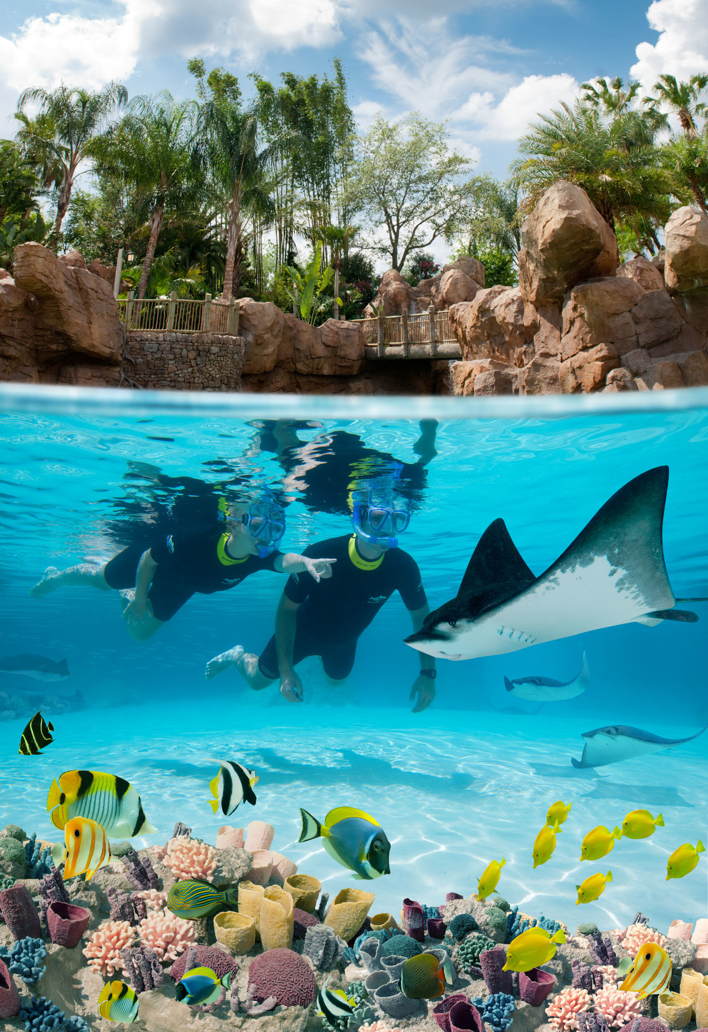 Discovery Cove Exclusive Fall Offer for Florida Residents