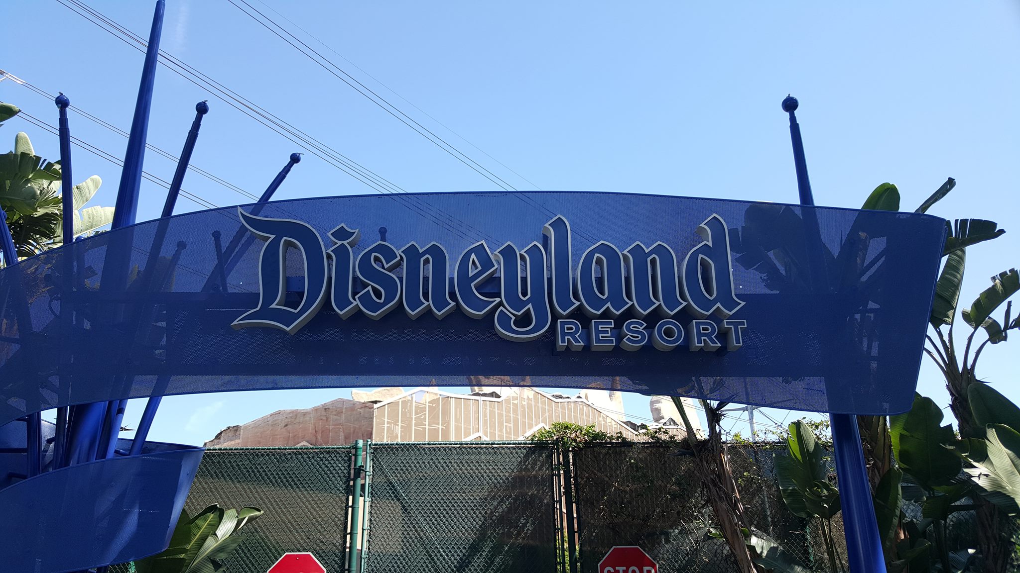 Disneyland lays off unknown number of employees