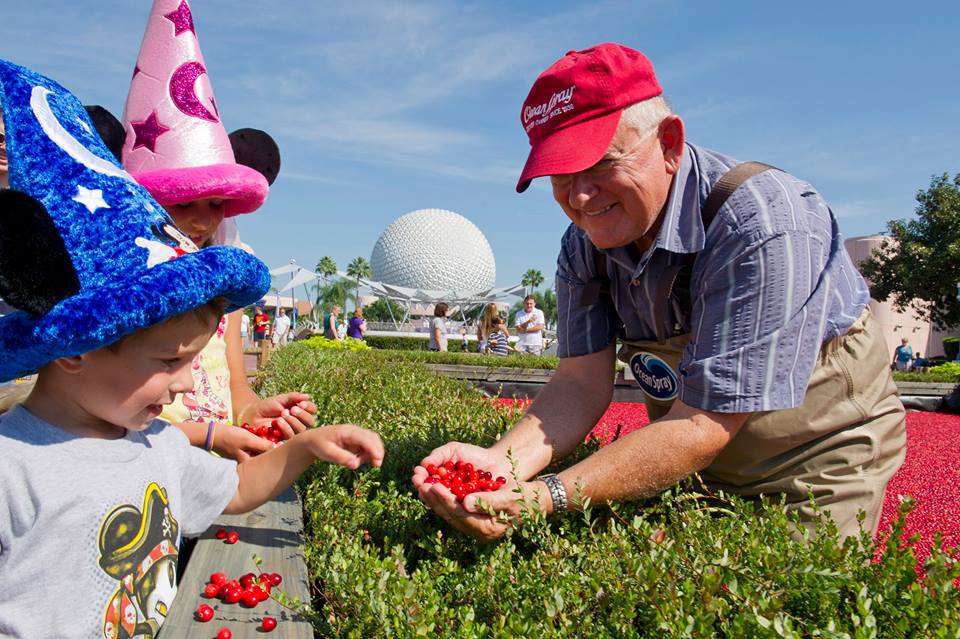 Ocean Spray’s Cranberry Bog is Back at The Epcot International Food & Wine Festival