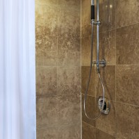 Swan Renovated Shower