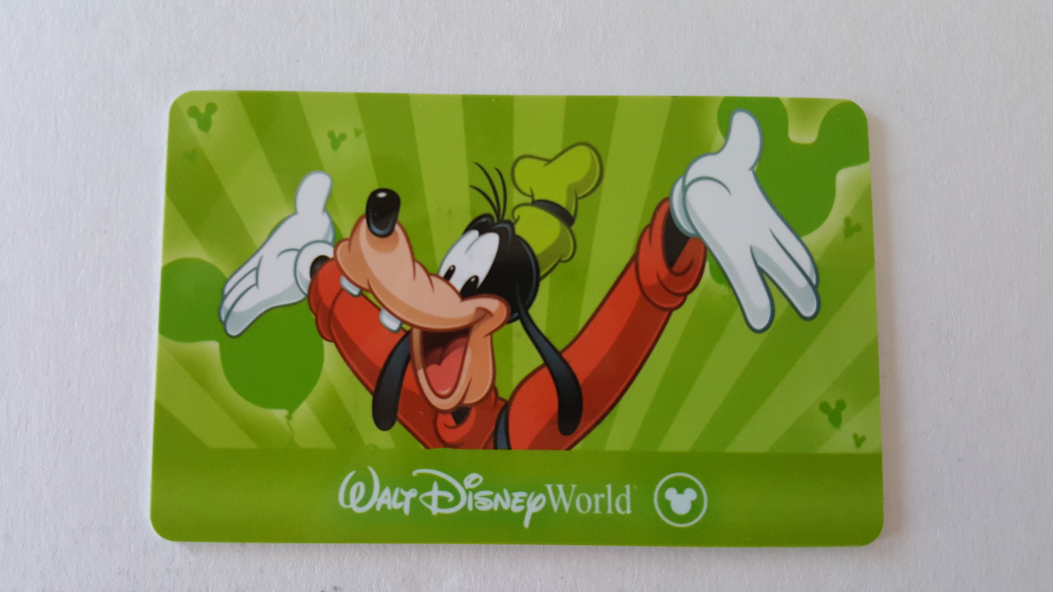 Family sentenced in Walt Disney World ticket scam