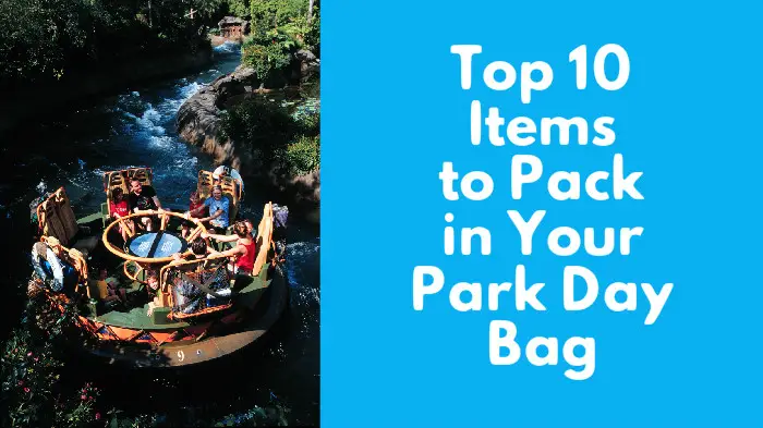 Top 10 items to pack in your Disney Parks Day Bag
