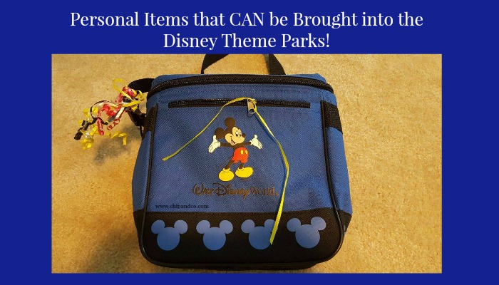 Personal Items that CAN be Brought Into the Disney Theme Parks!