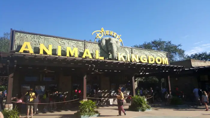 Disney settles with Animal Kingdom employee's widow | Chip and Company