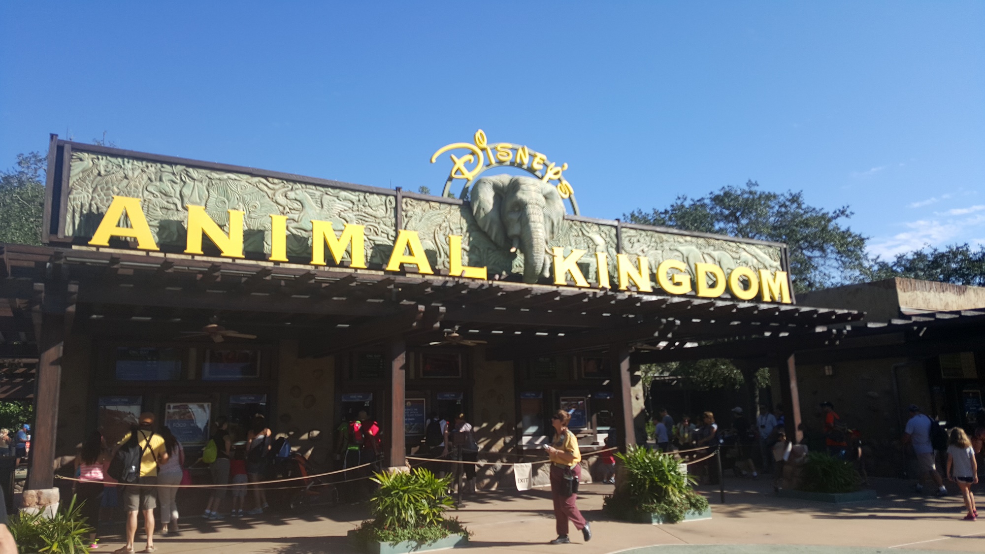 Guest Apprehended trying to Bring Firearm into Disney’s Animal Kingdom