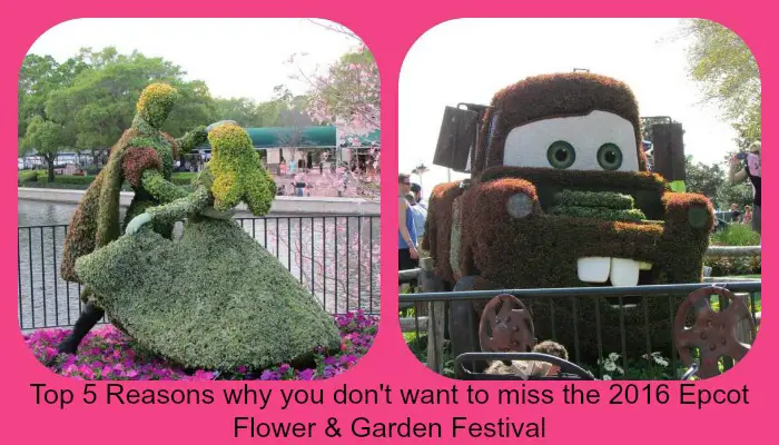 Top 5 Reasons why you don’t want to miss the 2016 Epcot Flower & Garden Festival